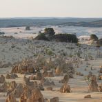 Pinnacles Desert