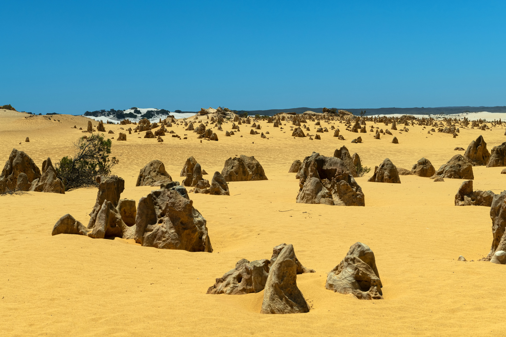 Pinnacles Desert