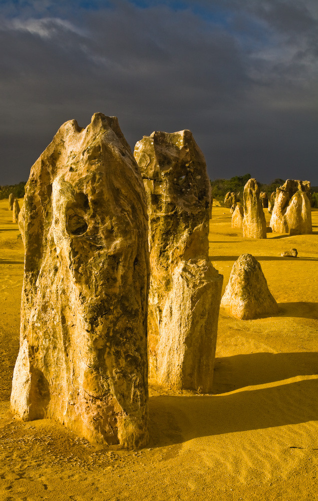 Pinnacles Desert Park