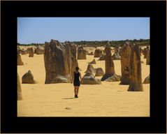 Pinnacles Dessert