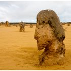 Pinnacles im Nambung Nationalpark