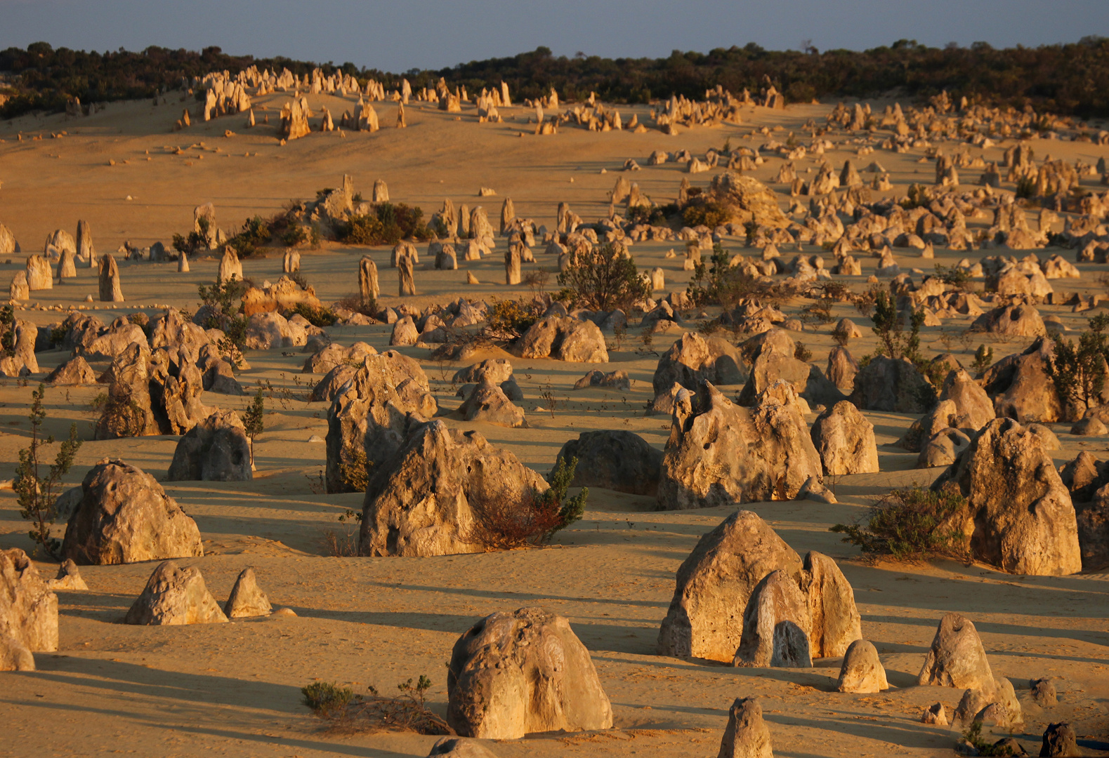 Pinnacles in untergehender Sonne