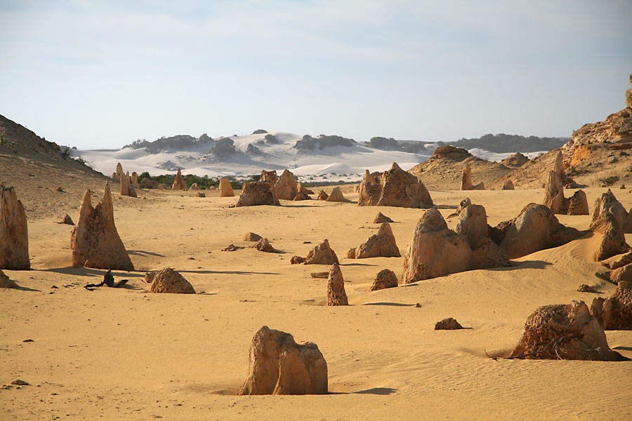 Pinnacles mit Blick zu der großen Sanddüne 2