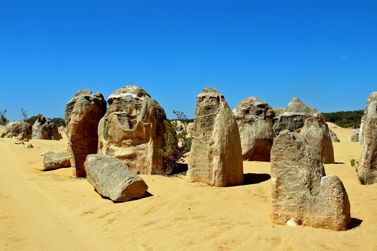 Pinnacles, Nambung Nationalpark