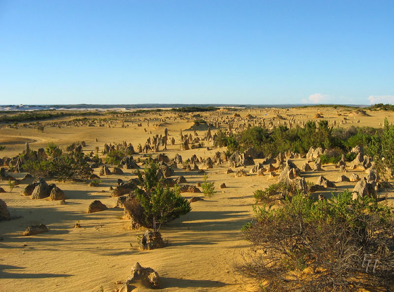 Pinnacles - Nambung NP