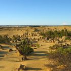 Pinnacles - Nambung NP