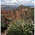 Pinnacles National Monument - II