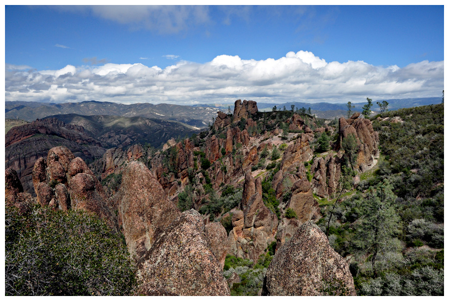 Pinnacles National Monument - V