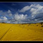 Pinnacles WA Nambung National Park