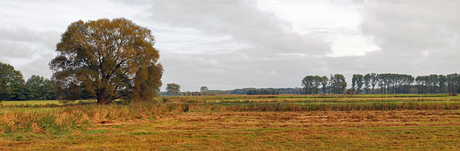 PinnauWiesenPanorama