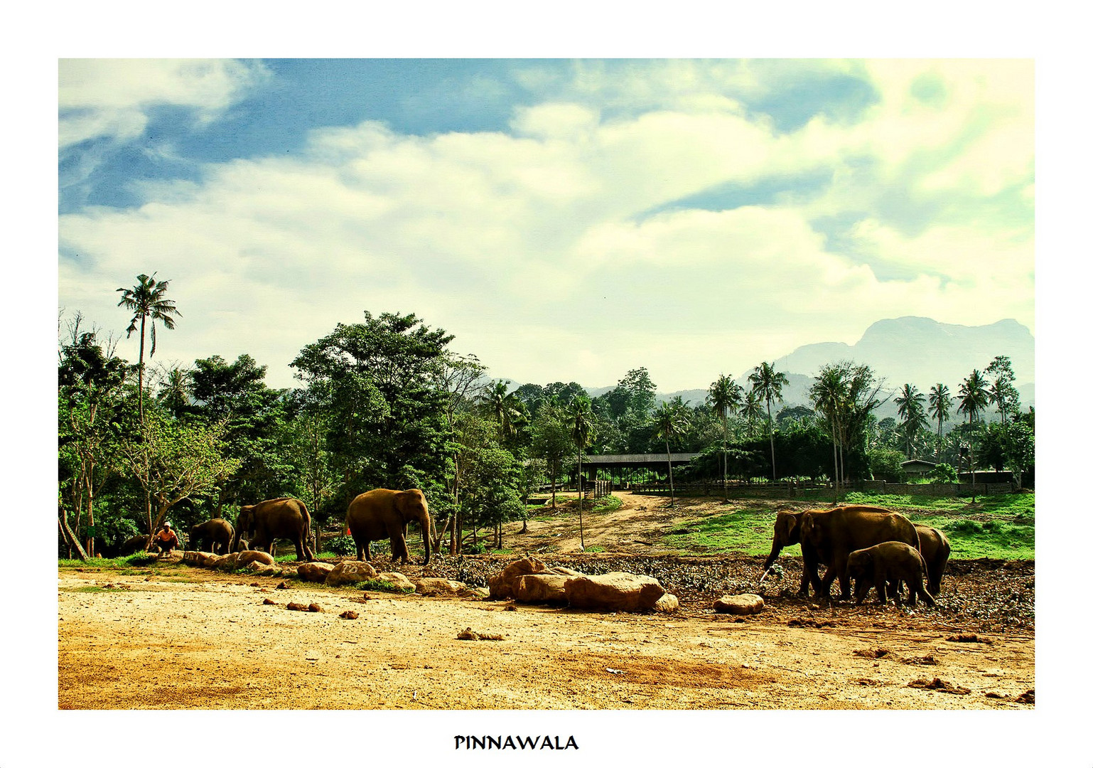 Pinnawala, Sri Lanka