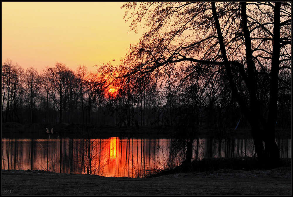 Pinneberg Sunrise