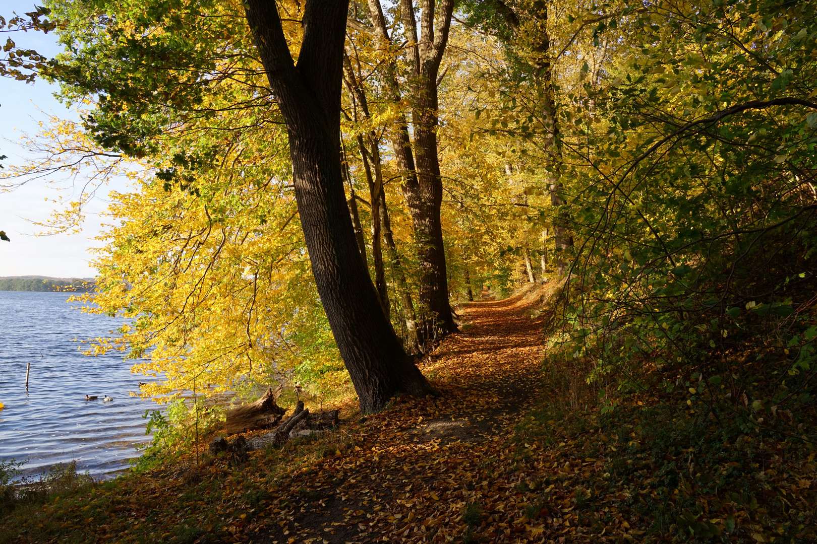 Pinnower See gleich neben dem Schweriner See