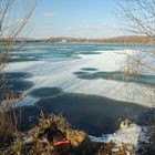 Pino sucht den Frühling am See,war noch nichts zu entdecken !