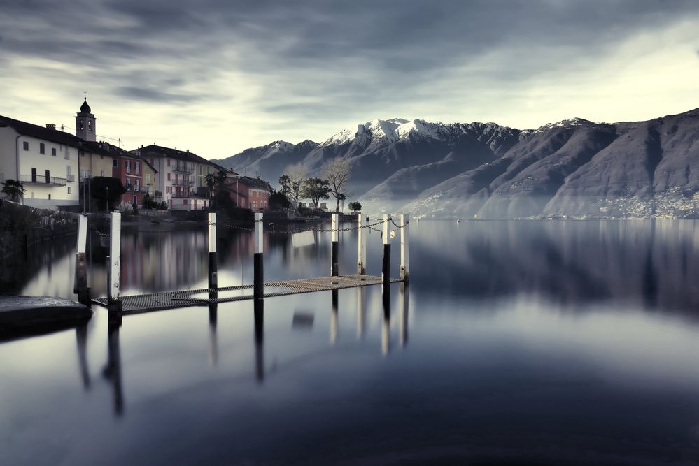 Pino sulla Sponda del Lago Maggiore