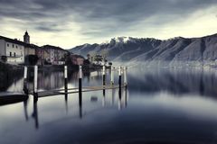 Pino sulla Sponda del Lago Maggiore