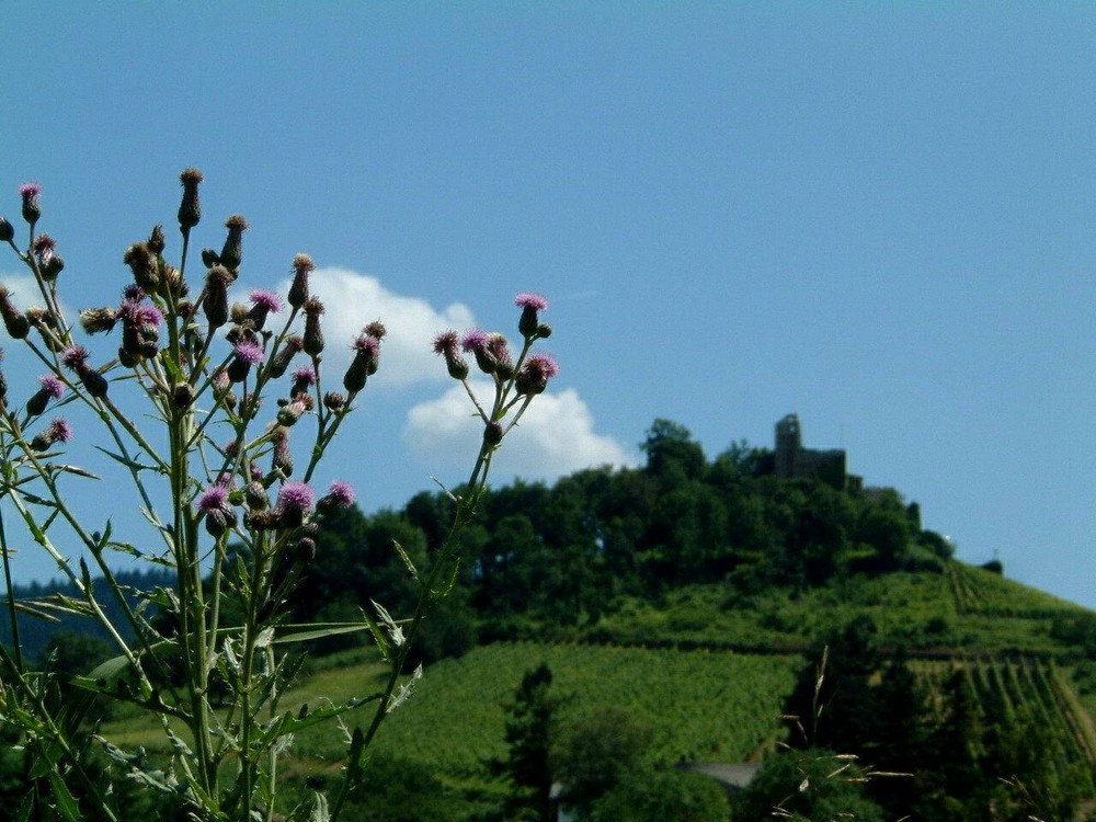 Pinselchen für's Himmelsblau