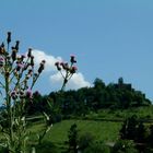 Pinselchen für's Himmelsblau