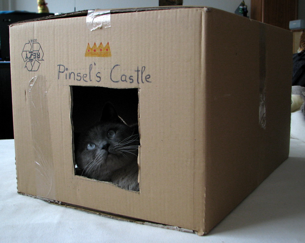 Pinsel´s Castle