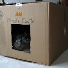 Pinsel´s Castle