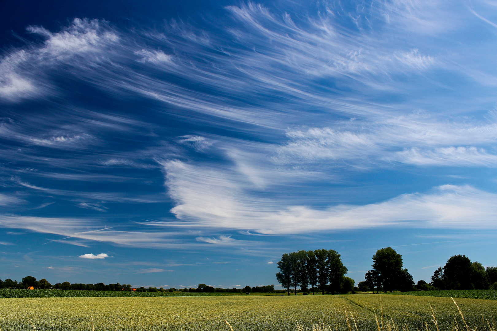 Pinselstriche am Himmel