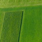 Pinselstriche in der Landschaft mit dem Traktor gemacht