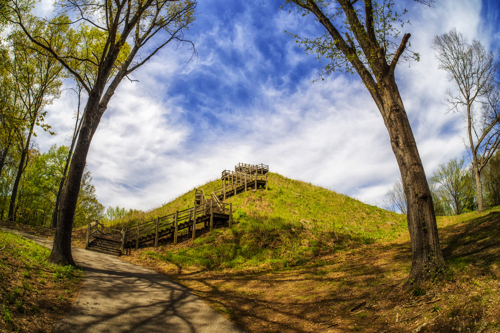 Pinson Mounds State Park