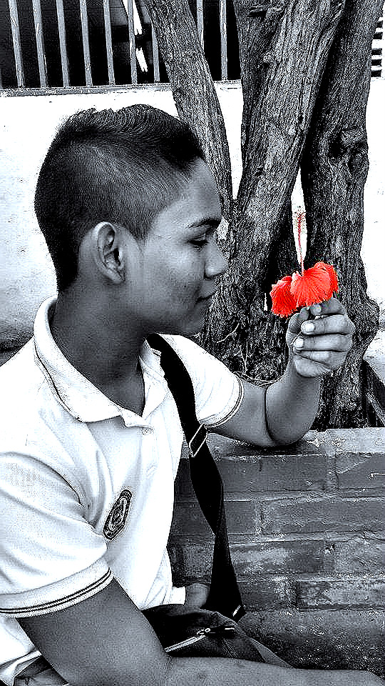 pinta tu mundo gris del color de una rosa