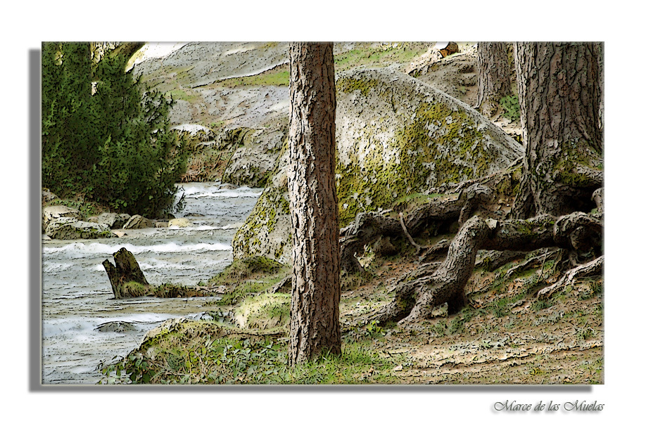 ...pintando el bosque...