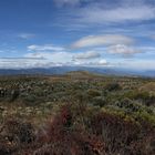 PINTURA AL NATURAL. EL PARAMO