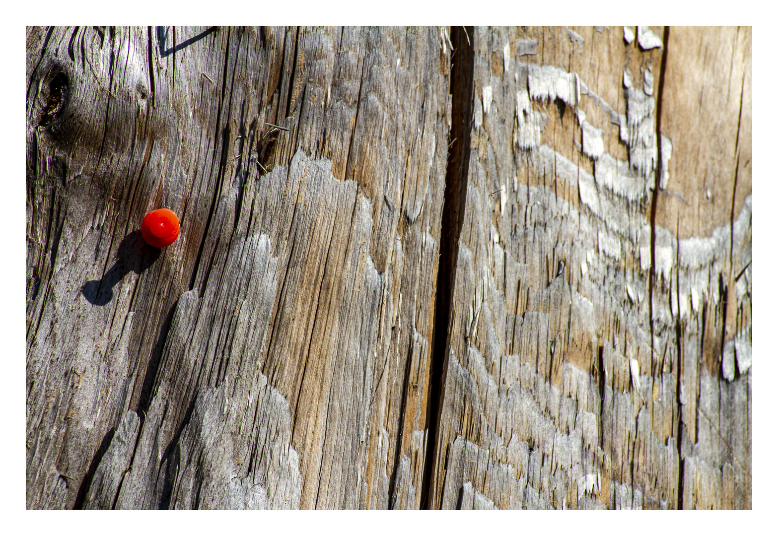Pinwand Foto Bild Stillleben Jahreszeiten Karten Und Kalender Bilder Auf Fotocommunity