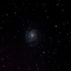 Pinwheel Galaxie M101