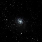 Pinwheel Galaxy