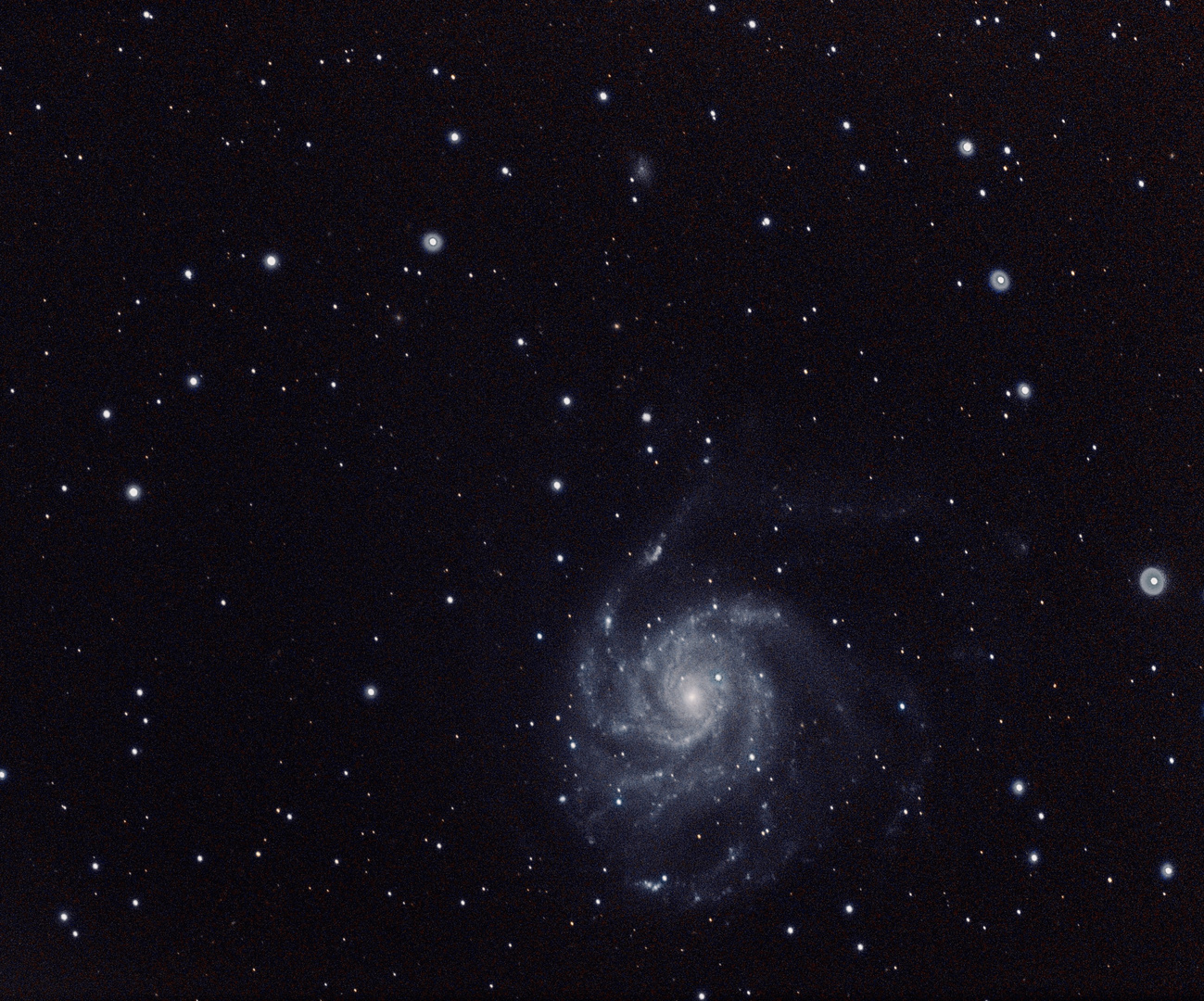 Pinwheel Galaxy, M101