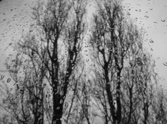 Pioggia battente.....sulla mia finestra