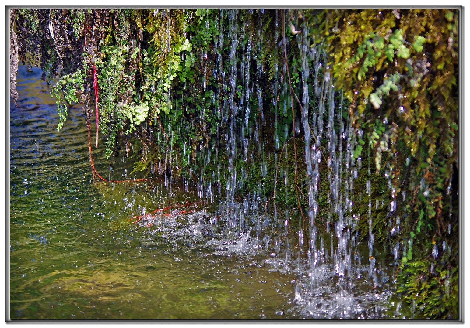 pioggia cristallina dalla fonte.....