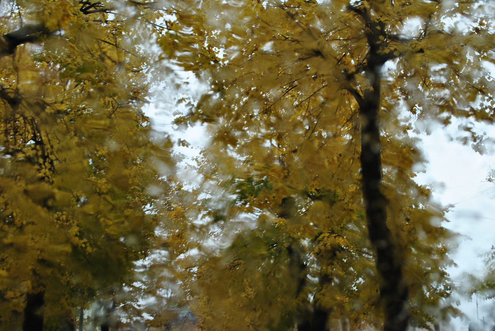 pioggia d'autunno