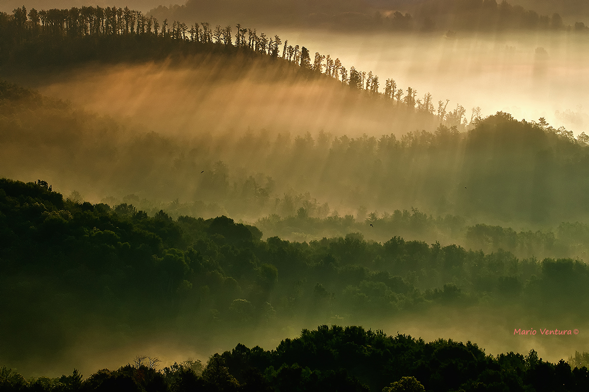 Pioggia di luce