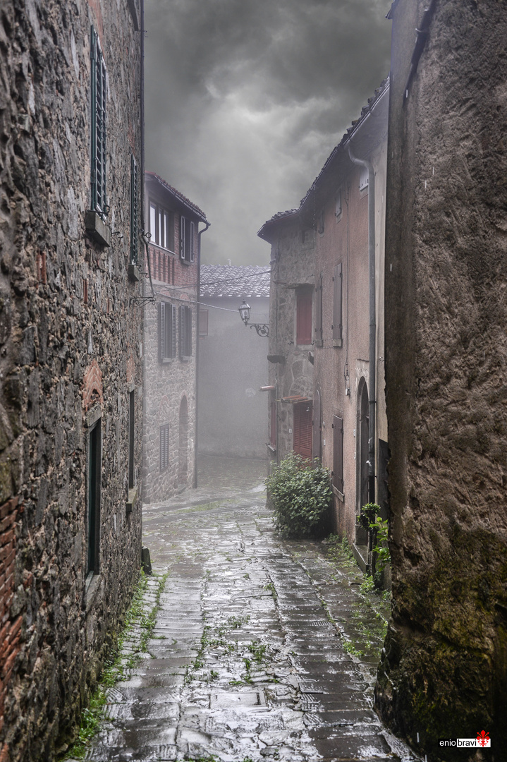 Pioggia e nebbia