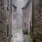 Pioggia e nebbia