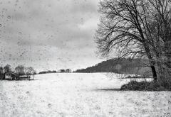 PIOGGIA E NEVE