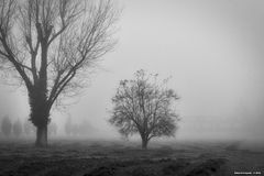 Pioltello, nebbia