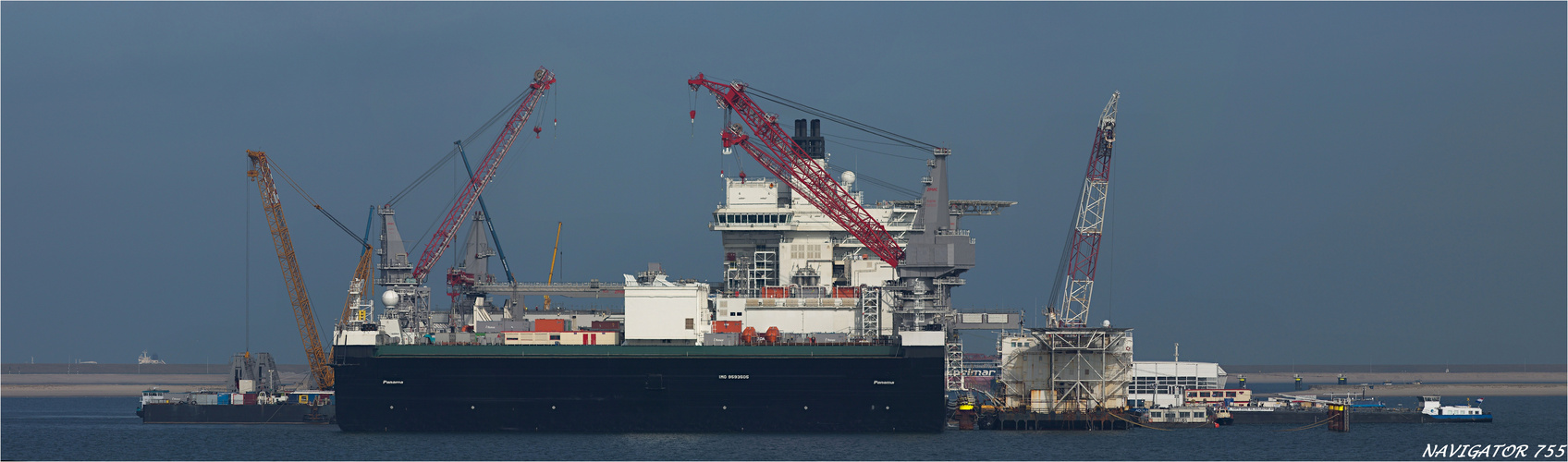 PIONEERING SPIRIT (2) (ex PIETER SCHELTE ) /Crane Ship / Rotterdam