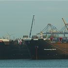 PIONEERING SPIRIT (2) (ex PIETER SCHELTE ) /Crane Ship / Rotterdam