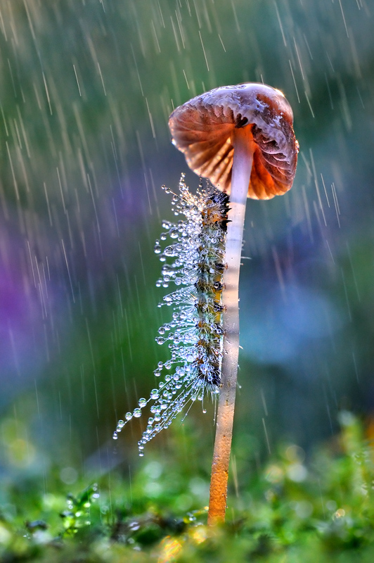 Piove ancora