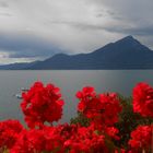 piove sul lago