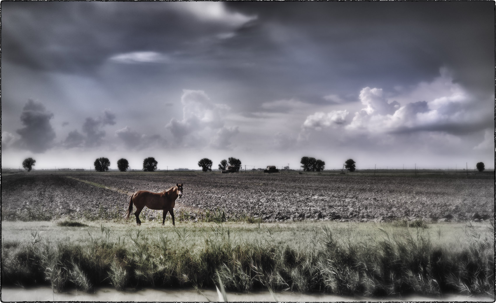 piove sull'equino