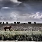 piove sull'equino