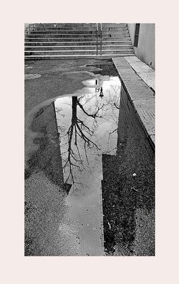 Piove!...e la città si specchia nelle vaste pozzanghere!...