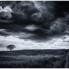 Pioverà .... It will rain ...